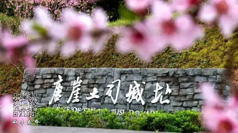 山水同源、武陵同梦！2024武陵文旅大会何以咸丰