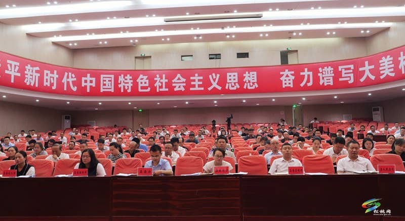 全县2024年未成年人保护工作推进会召开