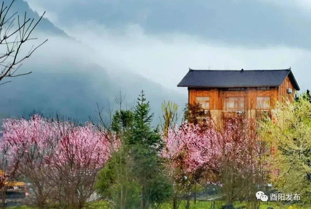 乡村旅游火起来、村民腰包鼓起来、美丽乡村富起来！板溪镇扎营村蝶变的背后……