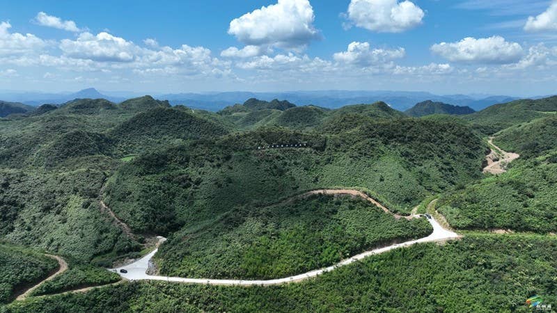 【武陵山区域媒体联盟蹲点报道——红色印迹·大美松桃】松桃瓦溪:山间珍宝插翅腾飞销往海外