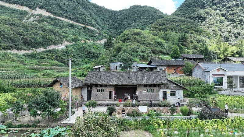 【武陵山区域媒体联盟蹲点报道——红色印迹·大美松桃】松桃瓦溪:山间珍宝插翅腾飞销往海外