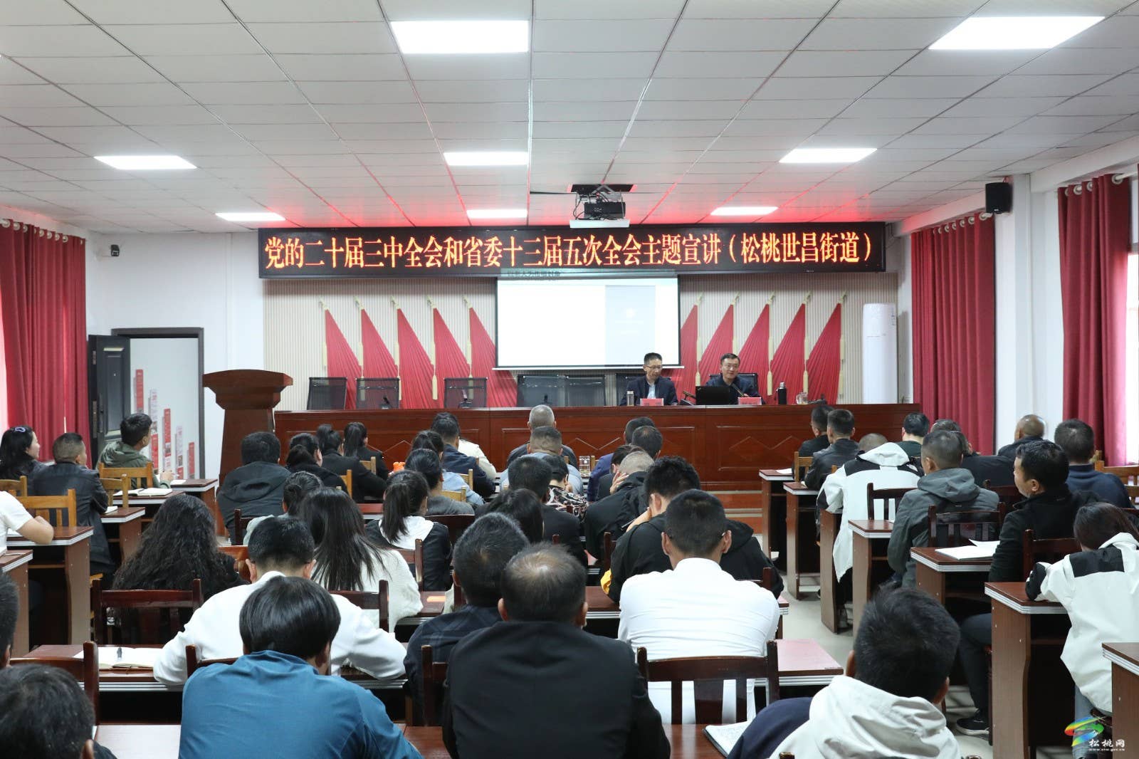 省、市宣讲团来松宣讲党的二十届三中全会精神