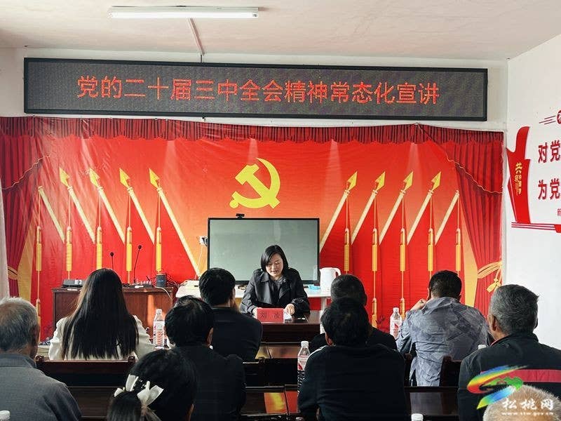 省、市宣讲团来松宣讲党的二十届三中全会精神