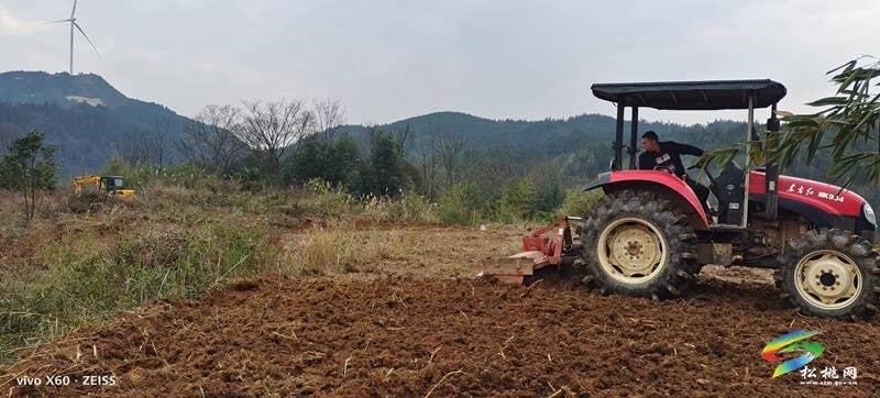 盘石镇：执耕地“笔”绘振兴“图”