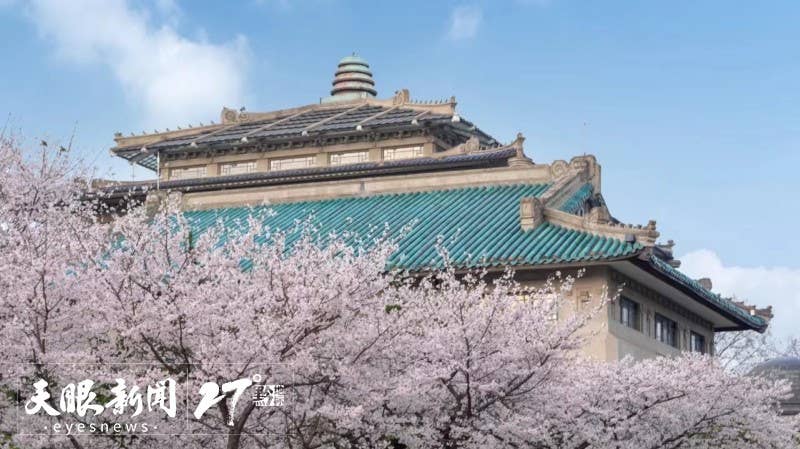 来贵州 上春山｜贵州樱花邀约武大樱花 一起“唱”游花漾中国