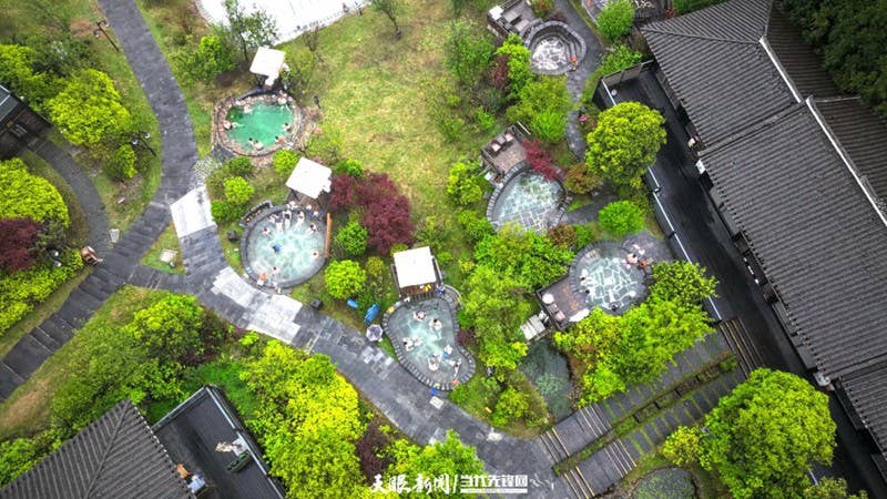 百里杜鹃:花间温泉引客来