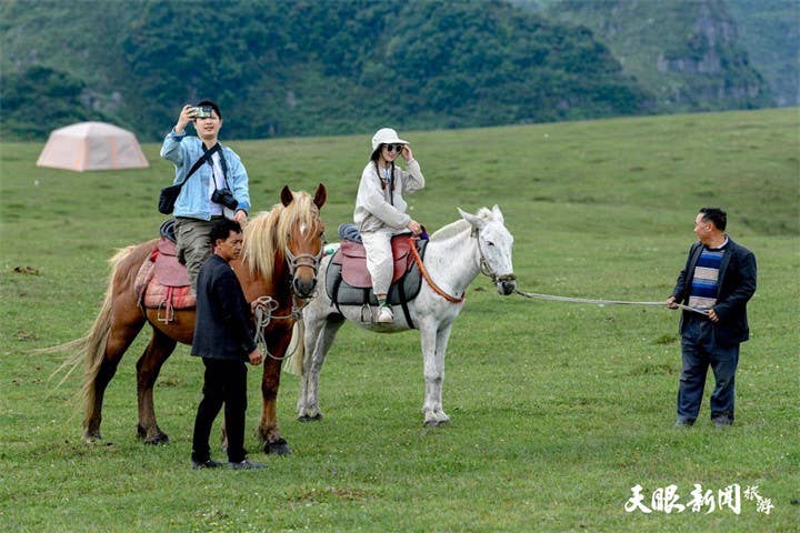 在阿西里西遇见“草原牧歌”，打卡贵州版“阿勒泰”