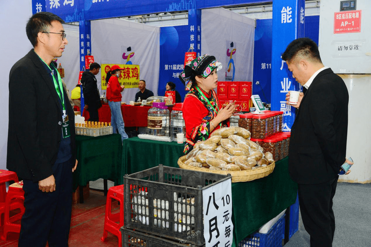 聚焦第12届武陵山商品交易博览会：群星闪耀，超大展区汇聚商机，多重政策补贴促发展