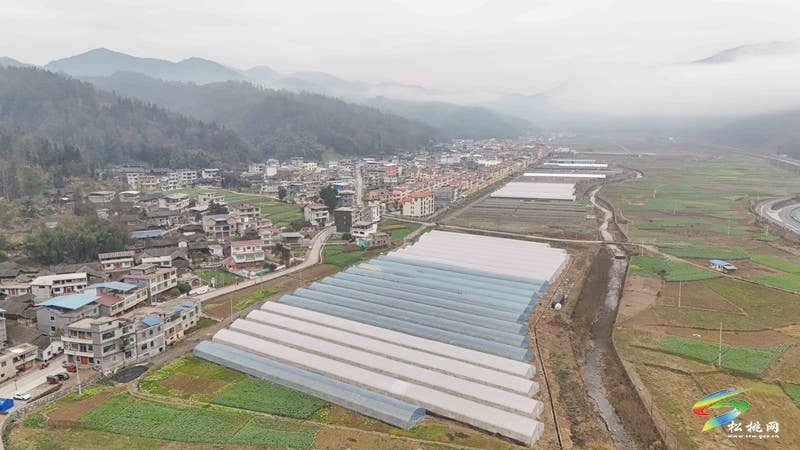 松桃：春耕忙育苗  绘就乡村振兴新图景