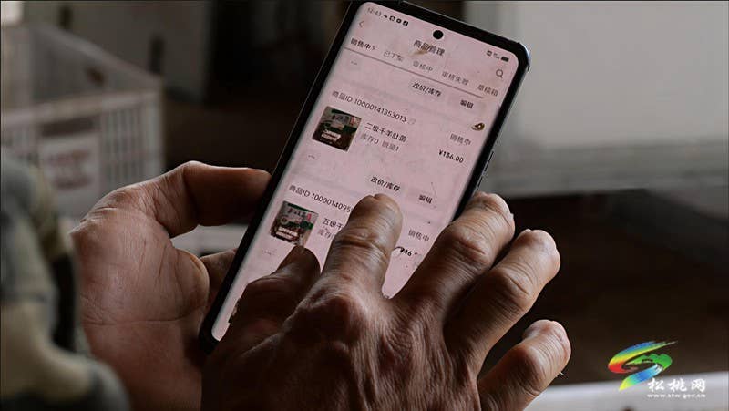 长坪乡：春日“菌”光灿烂 羊肚菌采摘正酣
