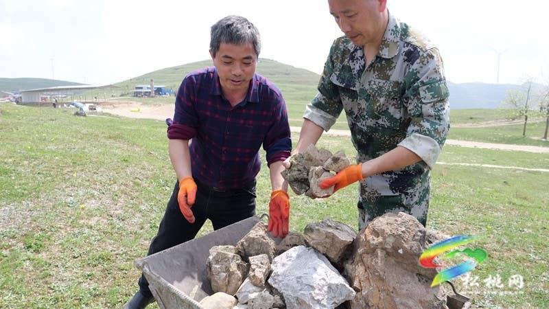 盘石镇：黔东草海管护行动开启，生态与富民双赢可期