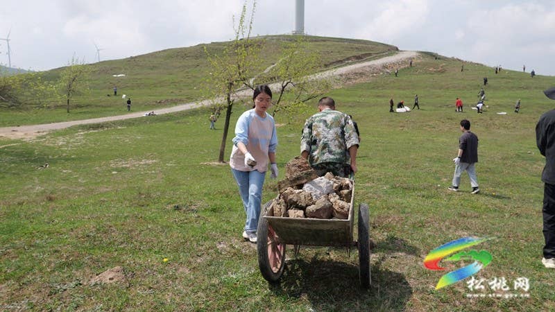 盘石镇：黔东草海管护行动开启，生态与富民双赢可期