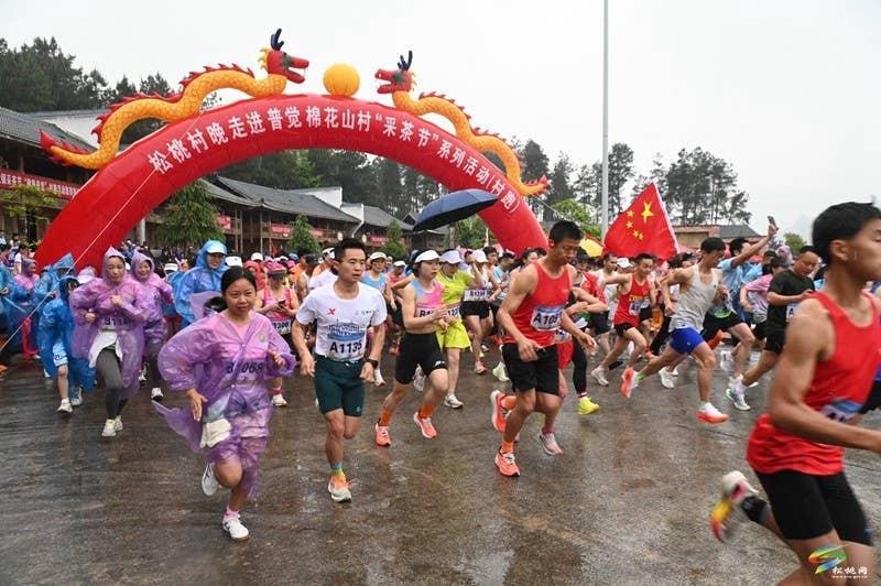 【吃贵州“晚饭”·看松桃村晚】春季采茶正当时  文旅融合促振兴——松桃村晚走进普觉棉花山村采茶节活动火热举办