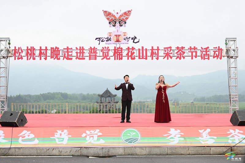 【吃贵州“晚饭”·看松桃村晚】春季采茶正当时  文旅融合促振兴——松桃村晚走进普觉棉花山村采茶节活动火热举办