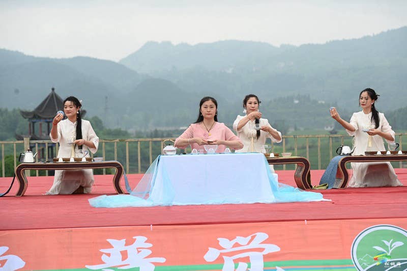【吃贵州“晚饭”·看松桃村晚】春季采茶正当时  文旅融合促振兴——松桃村晚走进普觉棉花山村采茶节活动火热举办