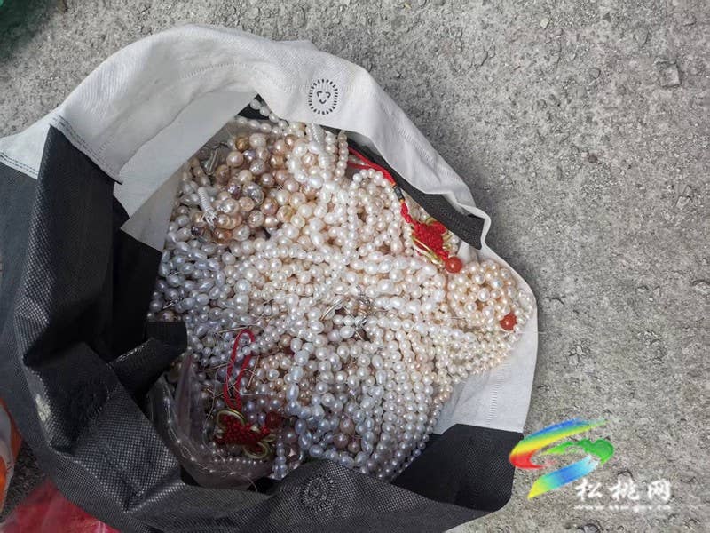 黄板镇：养殖珍珠蚌 助力乡村全面振兴