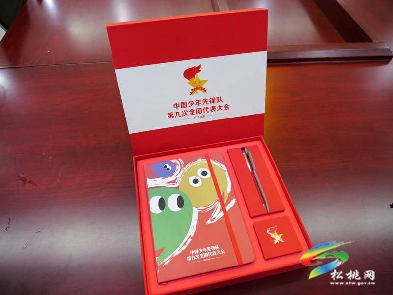 从校园走向全国舞台：全市唯一少代会代表的成长与担当