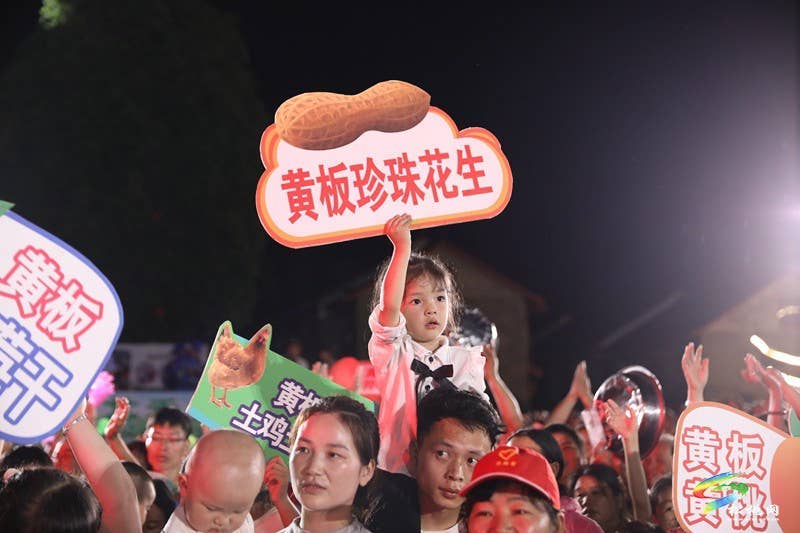 【吃贵州“晚饭”·看松桃村晚】松桃村晚第11期：茶韵牛情意无穷 大路黄板展新容