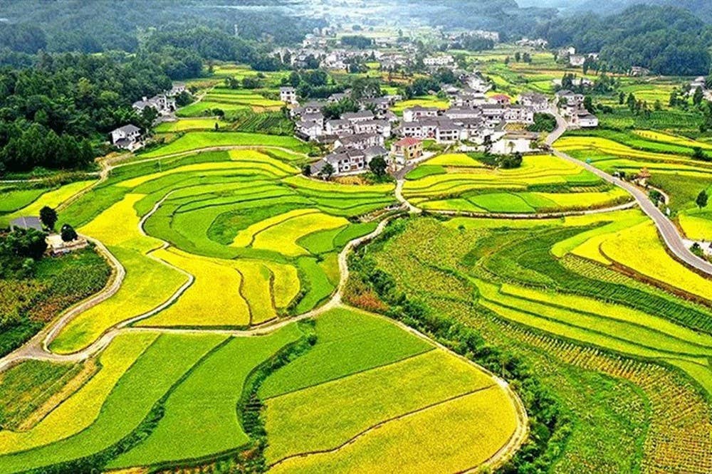 《贵州日报》刊登乾兴平署名文章：走好新时代的长征路 写好中国式现代化贵州篇章｜纪念遵义会议召开90周年