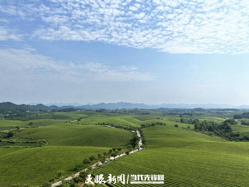 《贵州日报》刊登乾兴平署名文章：走好新时代的长征路 写好中国式现代化贵州篇章｜纪念遵义会议召开90周年