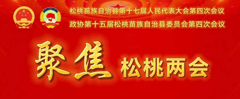 县政协十五届四次会议举行第二次全体会议暨委员大会发言会