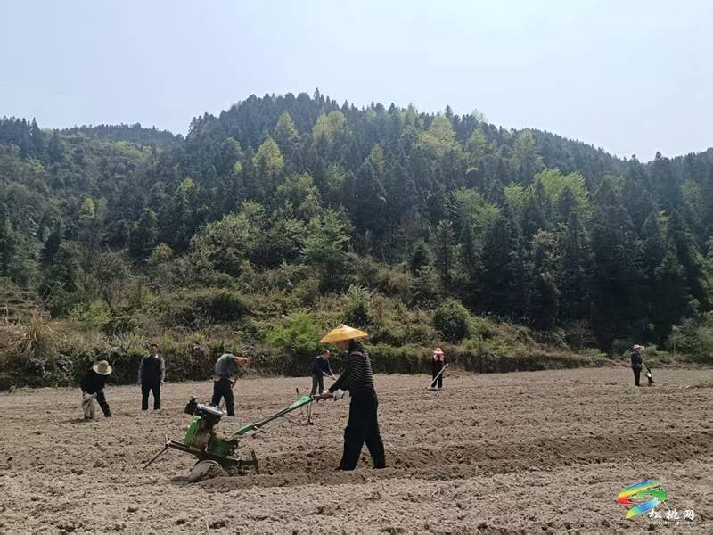 沙坝河乡抢抓农时备春耕