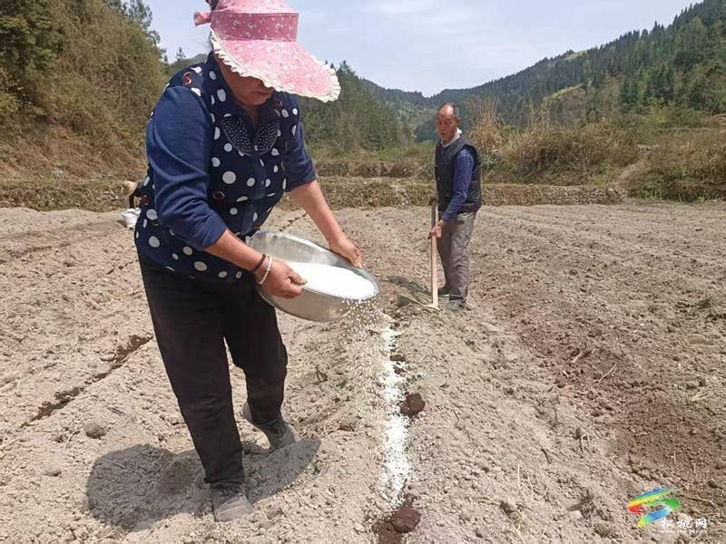 沙坝河乡抢抓农时备春耕
