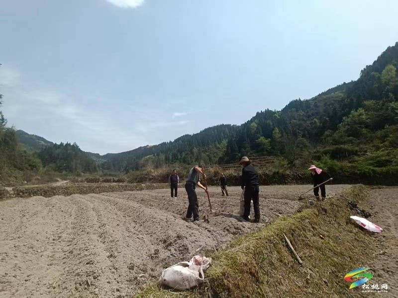 沙坝河乡抢抓农时备春耕