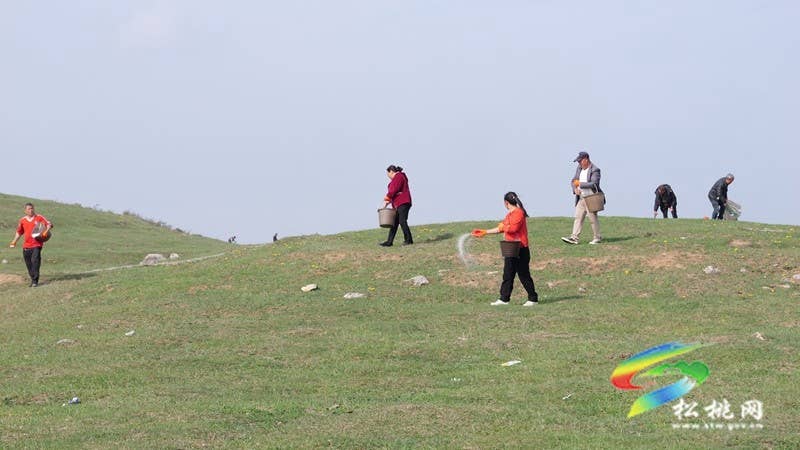盘石镇：黔东草海管护行动开启，生态与富民双赢可期