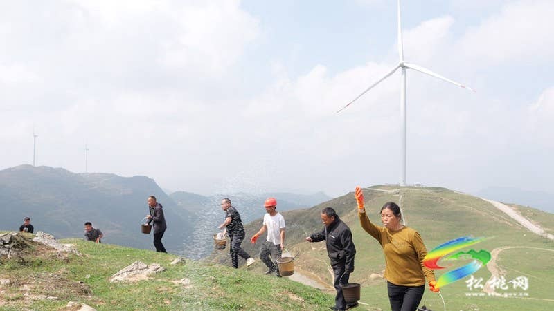 盘石镇：黔东草海管护行动开启，生态与富民双赢可期