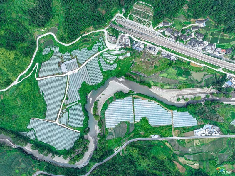 沙坝河乡：发展特色产业 推进强村富民