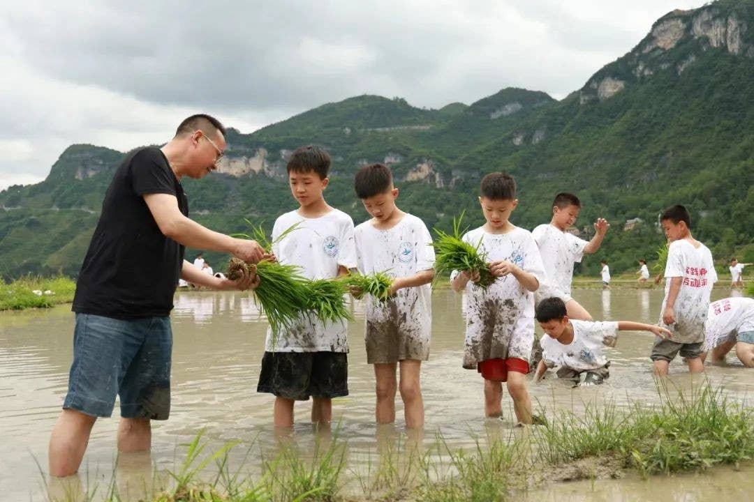 拥抱高铁时代丨花田乡：加速布局“快进慢游”交通体系