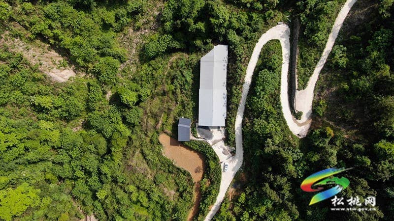 太平营街道：牛羊养殖绘就乡村振兴新画卷