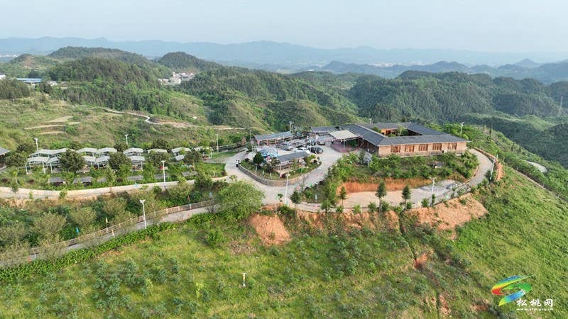 五一假期去哪嗨  黄板苗妹子生态园等你来