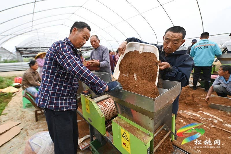 【乡村振兴·田野劳动图鉴】松桃“新农人”雷建军：“头雁”领飞产业丰