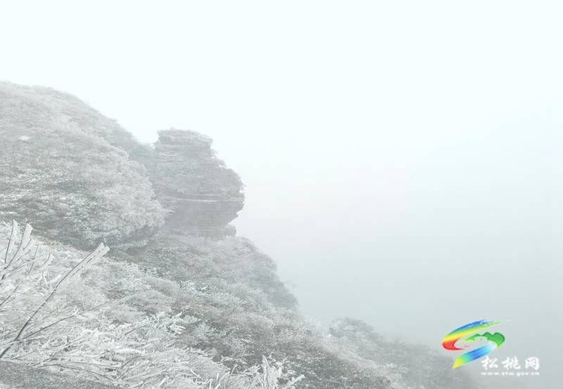瓦溪旧梦：镌刻在心底的乡愁
