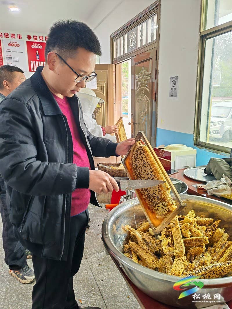 甘龙镇大树村：依托生态优势  发展蜂蜜产业