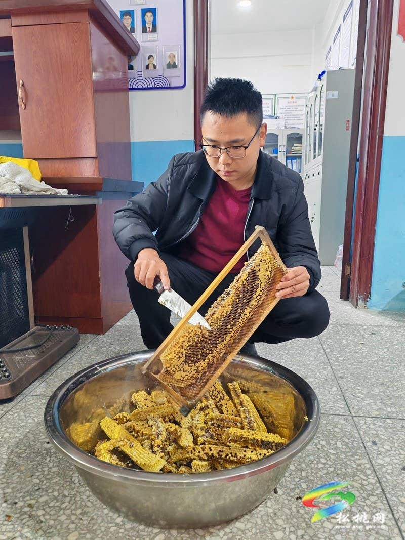 甘龙镇大树村：依托生态优势  发展蜂蜜产业