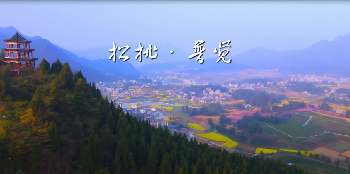 松桃普觉