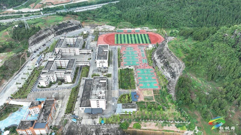 学科知识融入“劳育”  促“五育”协调发展