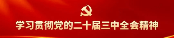 【学习贯彻党的二十届三中全会精神】深化国资国企改革