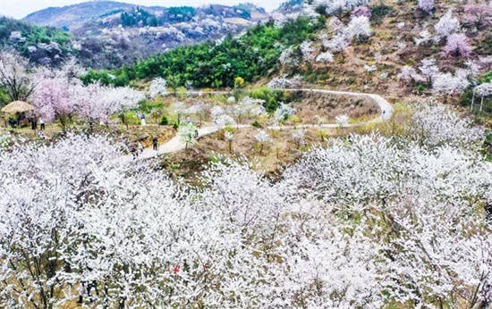 【武陵视界】乡愁印迹·村史村事|碧江路腊村:以农体旅为笔 绘就乡村振兴新画卷
