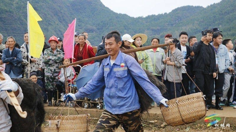 【吃贵州“晚饭”·看松桃村晚】松桃村晚·且听泥喃：普觉镇真旗屯上演乡村“薯”光盛宴