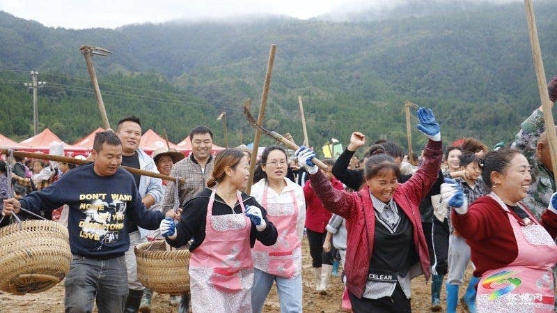 【吃贵州“晚饭”·看松桃村晚】松桃村晚·且听泥喃：普觉镇真旗屯上演乡村“薯”光盛宴