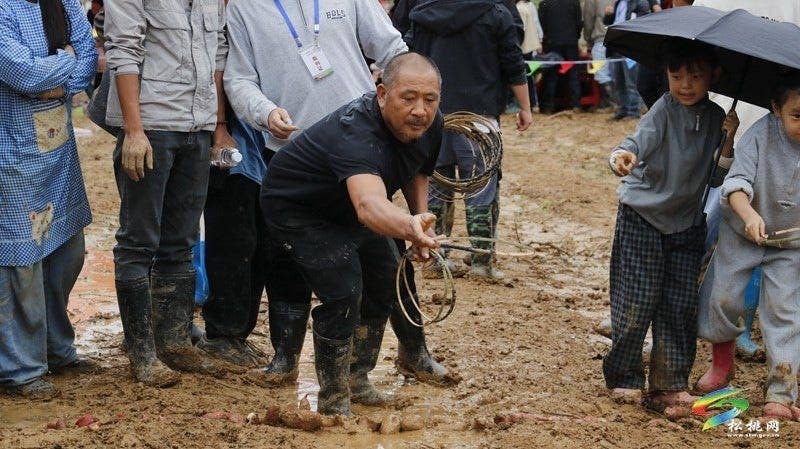 【吃贵州“晚饭”·看松桃村晚】松桃村晚·且听泥喃：普觉镇真旗屯上演乡村“薯”光盛宴