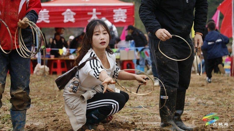 【吃贵州“晚饭”·看松桃村晚】松桃村晚·且听泥喃：普觉镇真旗屯上演乡村“薯”光盛宴