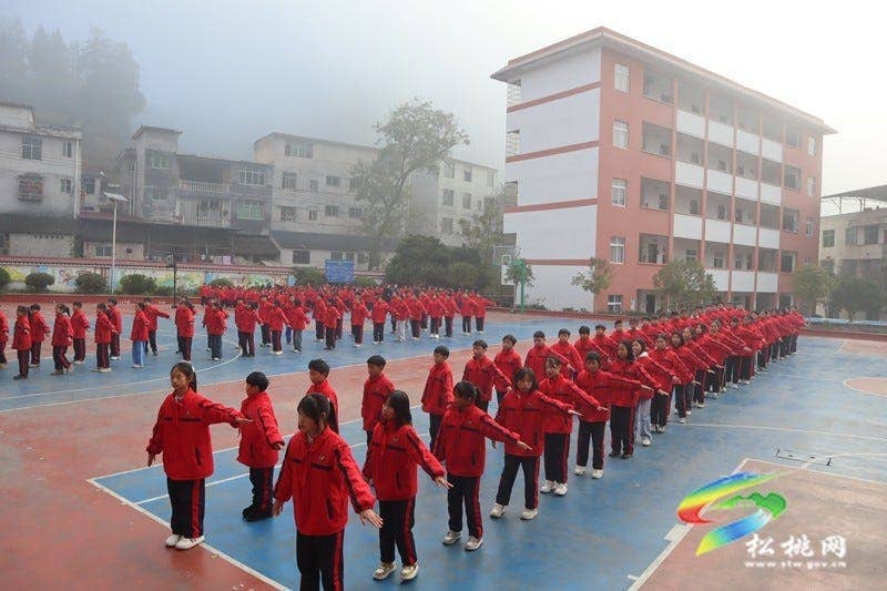 妙隘乡完小举办第 25 届学生田径运动会