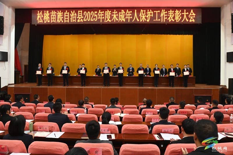 全县2025年度未成年人保护工作表彰大会召开