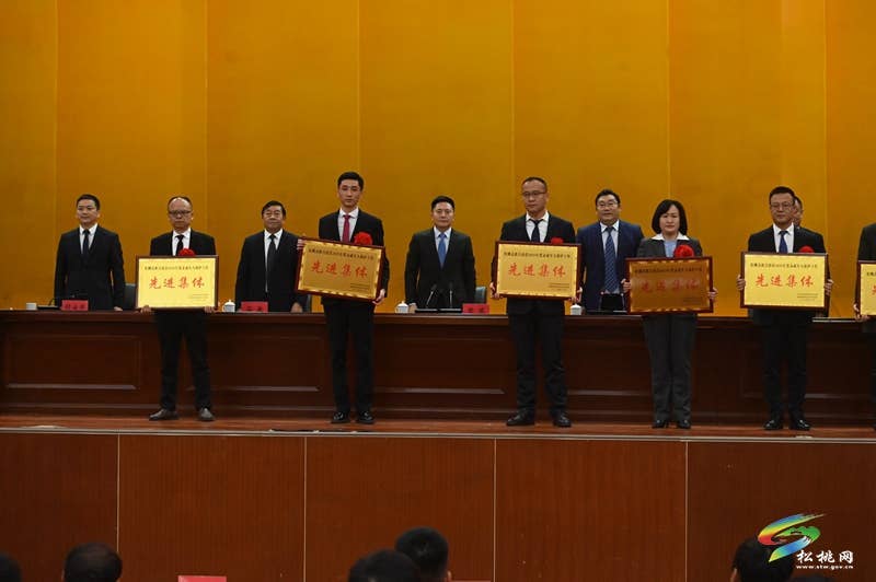 全县2025年度未成年人保护工作表彰大会召开