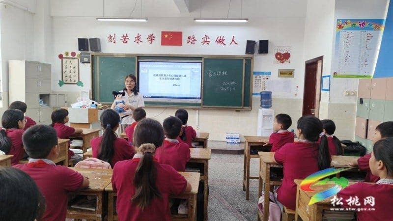 破解青春期“黑匣子”!松桃一完小专题课守护成长路